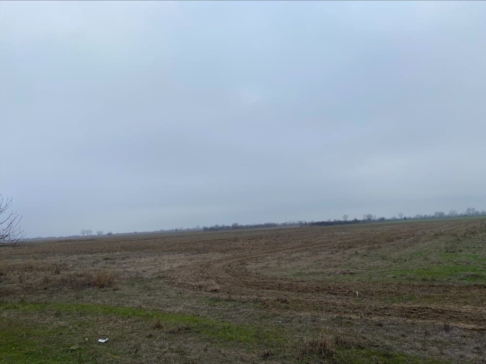 Земеделска земя - с. Ръжево Конаре, Пловдив – photo 1 of 2