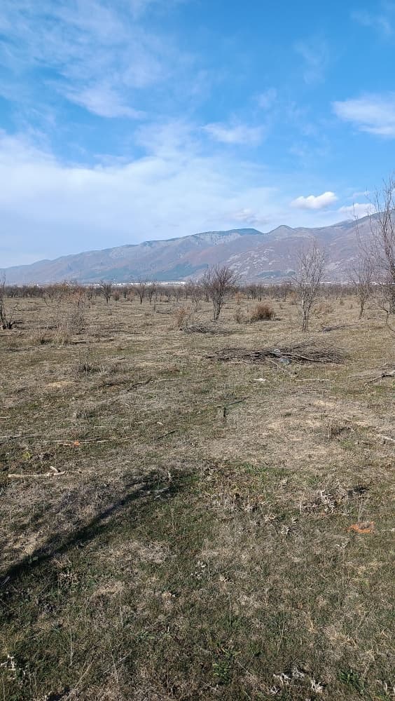 Земеделска земя - с. Дъбене, Пловдив – photo 1 of 1